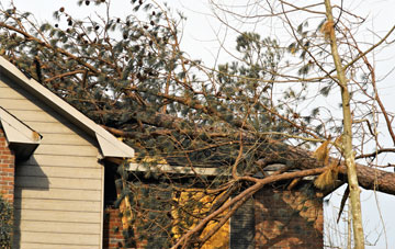 emergency roof repair Lower East Carleton, Norfolk