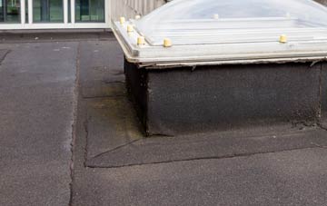 disadvantages of Lower East Carleton flat roofs