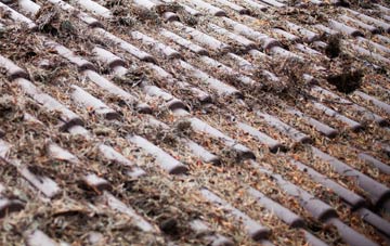 Lower East Carleton roof cleaning companies