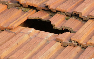 roof repair Lower East Carleton, Norfolk