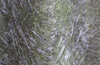 Lower East Carleton fibreglass roof work